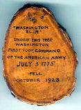 Washington Elm - HS Retro Rollerball