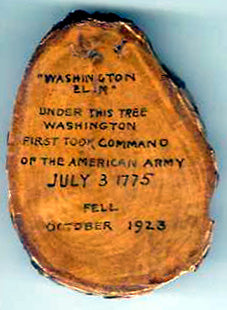 Washington Elm - HS Retro Rollerball