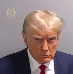 "Trump Mugshot"