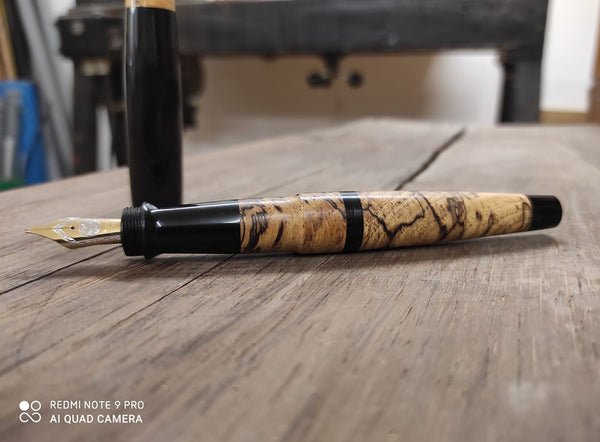 Sam Houston Pecan Tree - Fountain Pen
