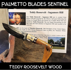 Sentinel Teddy Roosevelt